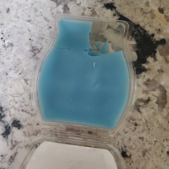 Mickey and Friends Scentsy Bar - Picture 2 of 2